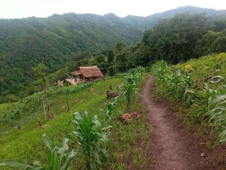 Một ngày trải nghiệm thăm nương rẫy của người đồng bào Tây Nguyên 2024