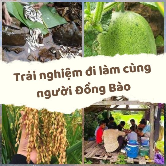 Một ngày trải nghiệm thăm nương rẫy của người đồng bào Tây Nguyên 2024