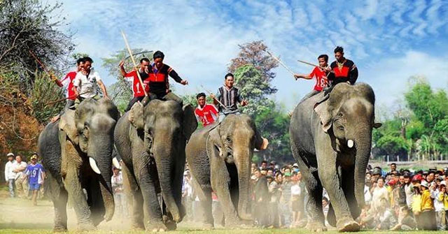 Khám Phá Vườn Quốc Gia Yok Đôn – Hành Trình Trở Về Với Thiên Nhiên Tại Buôn Đôn