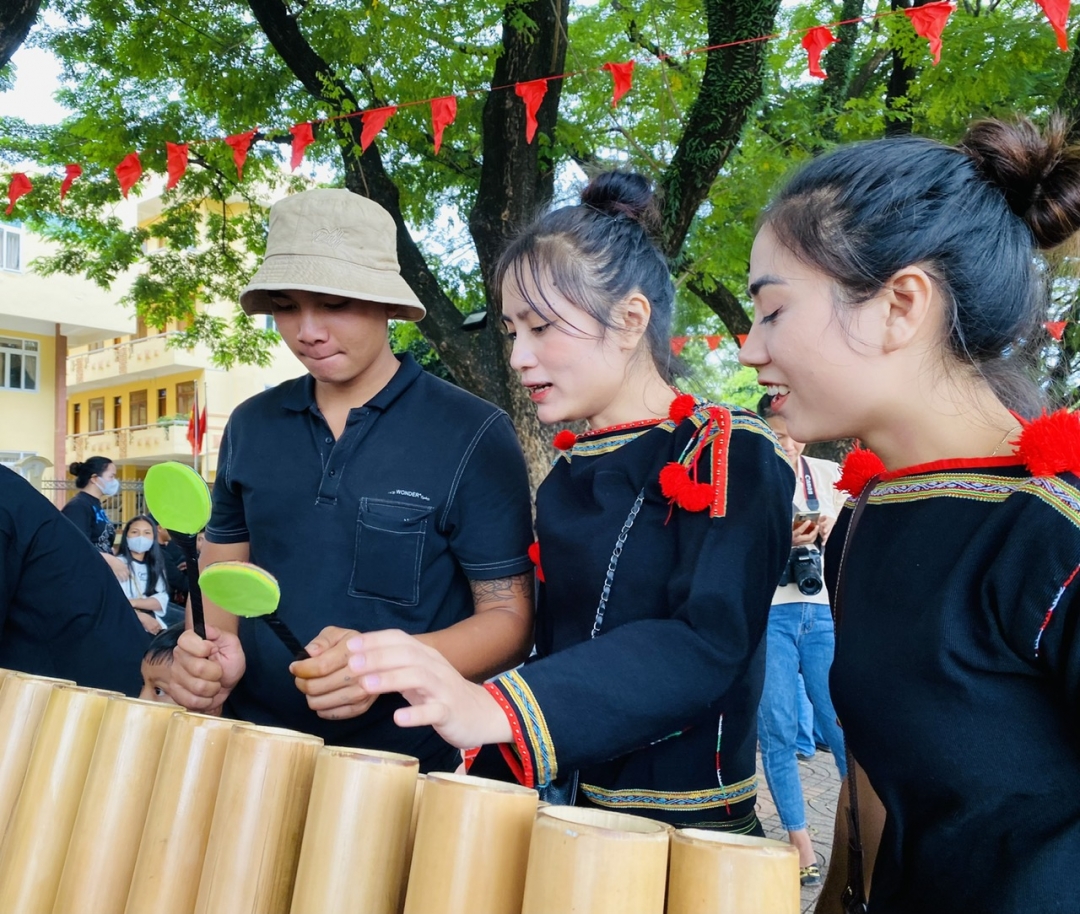 Cẩm Nang Sống Tại Buôn Ma Thuột – Hướng Dẫn Chi Tiết Để Tận Hưởng Cuộc Sống Tại Tây Nguyên